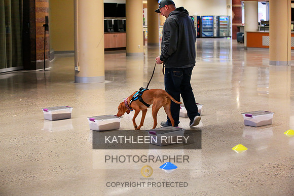 2022-KathleenRileyPhotography-7488