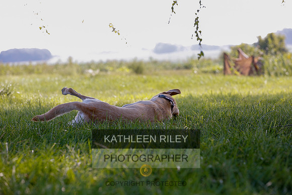 2022-KathleenRileyPhotography-7949