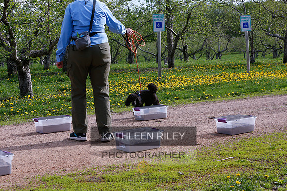 2022-KathleenRileyPhotography-8360