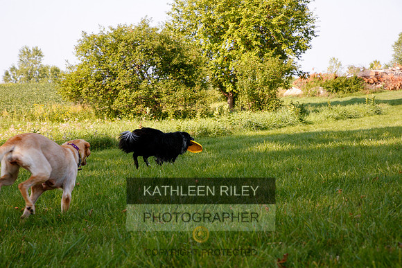 2022-KathleenRileyPhotography-5554