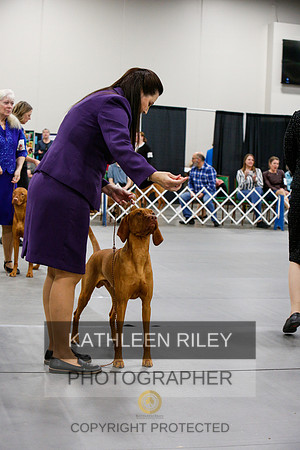 2022-KathleenRileyPhotography-6848