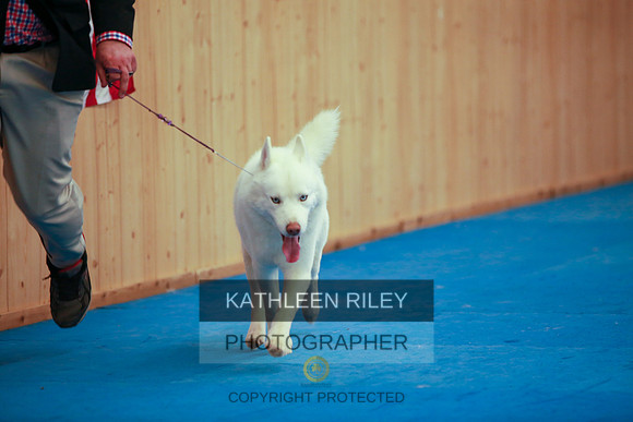 2022-KathleenRileyPhotography-6136