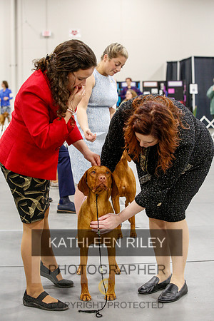 2022-KathleenRileyPhotography-1528