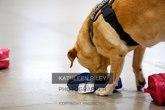 2022-KathleenRileyPhotography-7407