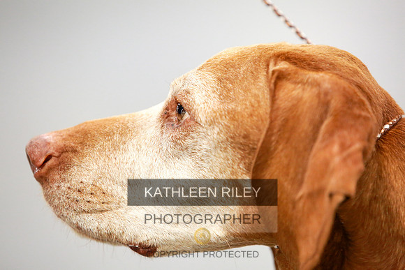 2022-KathleenRileyPhotography-8051