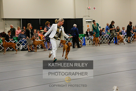 2022-KathleenRileyPhotography-6184