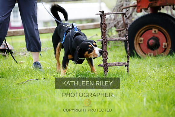 2022-KathleenRileyPhotography-3210 (2)
