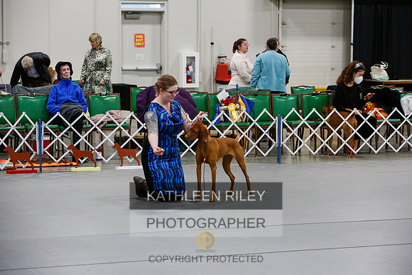 2022-KathleenRileyPhotography-7184
