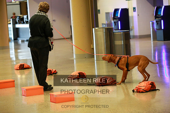 2022-KathleenRileyPhotography-7477