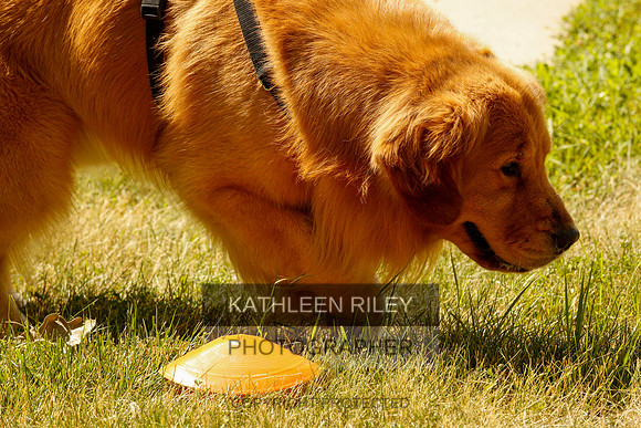 2022-KathleenRileyPhotography-0307
