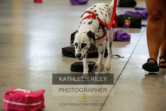 2022-KathleenRileyPhotography-4868