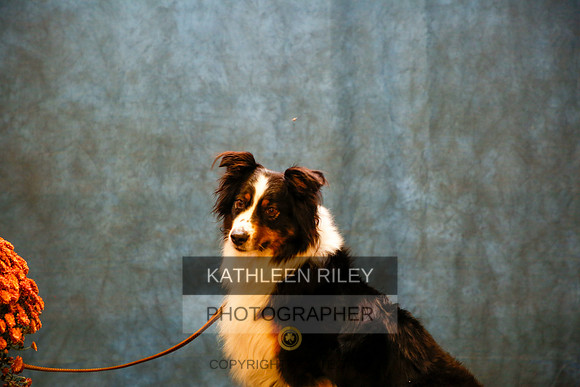 2022-KathleenRileyPhotography-9795