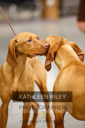 2022-KathleenRileyPhotography-1701