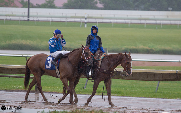 Jorge Carreno on Heatofthestorm a Thoroughbred  at Canterbury Park