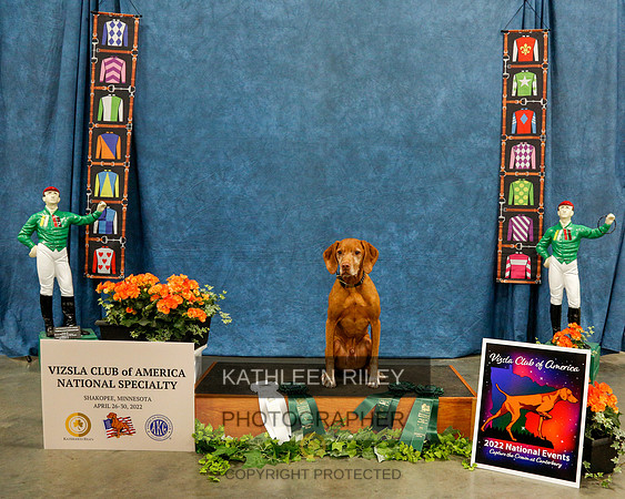 2022-KathleenRileyPhotography-7247