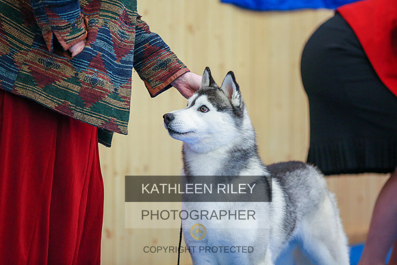 2022-KathleenRileyPhotography-6074
