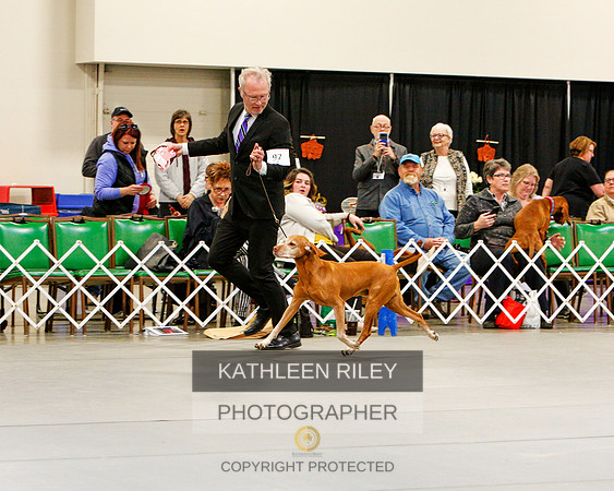 2022-KathleenRileyPhotography-3150 (2) (1)