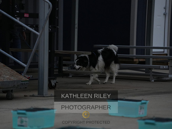 2022-KathleenRileyPhotography036