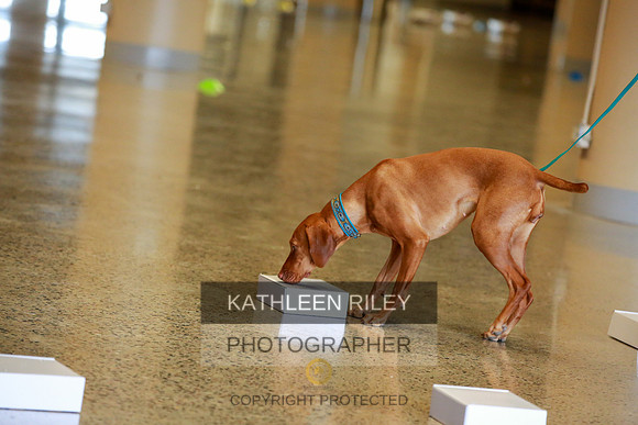 2022-KathleenRileyPhotography-7544