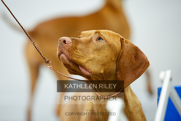 2022-KathleenRileyPhotography-9472