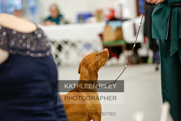2022-KathleenRileyPhotography-0136
