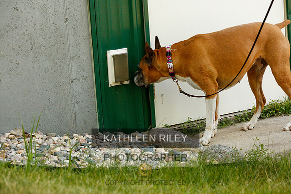 2022-KathleenRileyPhotography-0327