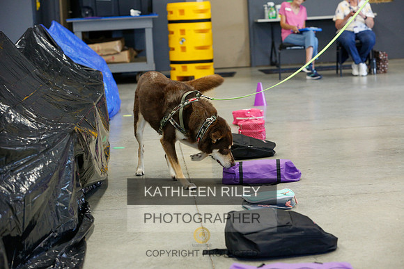 2022-KathleenRileyPhotography-4717