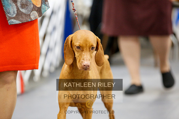 2022-KathleenRileyPhotography-2341