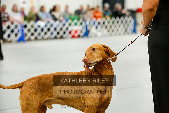 2022-KathleenRileyPhotography-0123