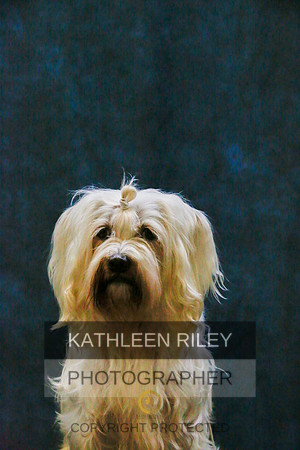 2022-KathleenRileyPhotography-9422