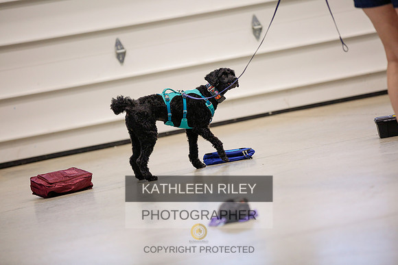 2022-KathleenRileyPhotography-7394