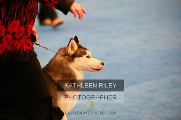 2022-KathleenRileyPhotography-5319