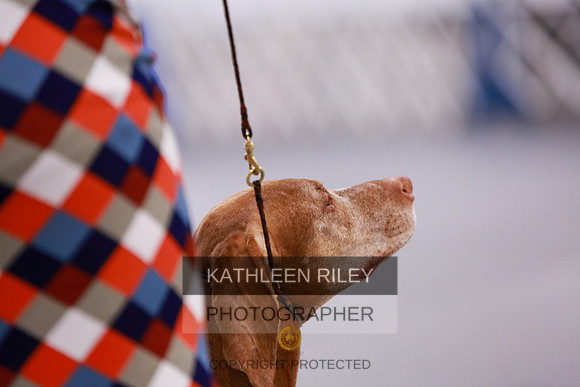 2022-KathleenRileyPhotography-7967