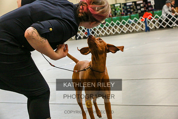 2022-KathleenRileyPhotography-8928