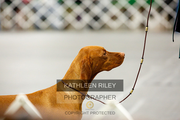 2022-KathleenRileyPhotography-0171