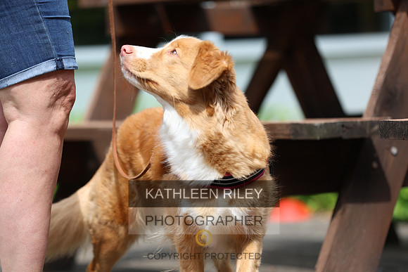 SJLT6277