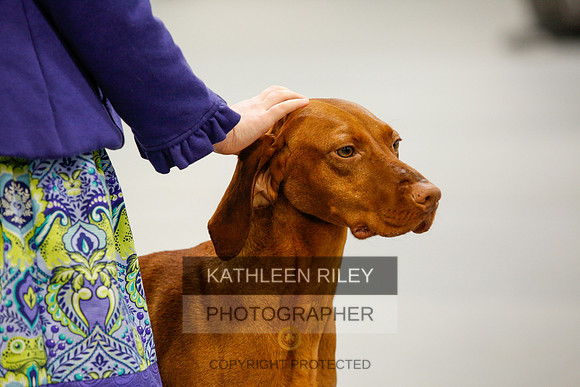 2022-KathleenRileyPhotography-9926