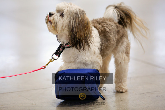 2022-KathleenRileyPhotography-7279