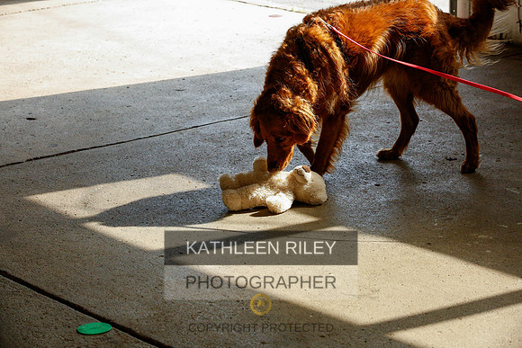 2022-KathleenRileyPhotography-9311