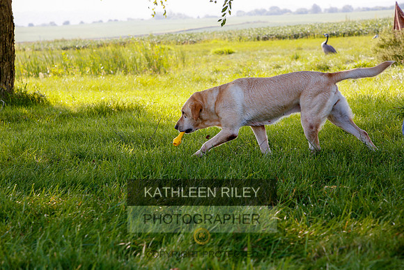 2022-KathleenRileyPhotography-5475