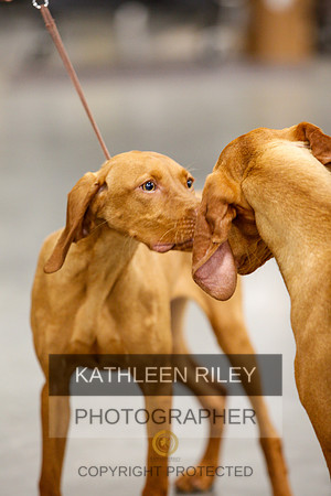 2022-KathleenRileyPhotography-1699