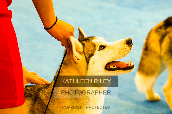 2022-KathleenRileyPhotography-8348