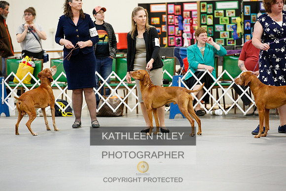 2022-KathleenRileyPhotography-1353