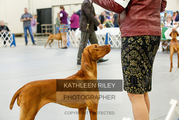 2022-KathleenRileyPhotography-9812