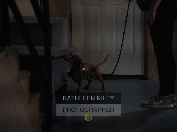 2022-KathleenRileyPhotography148