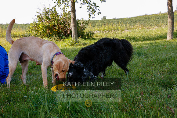 2022-KathleenRileyPhotography-5546