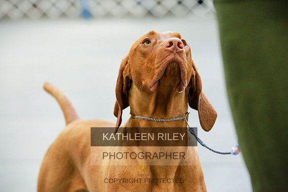 2022-KathleenRileyPhotography-8626