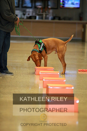2022-KathleenRileyPhotography-7593