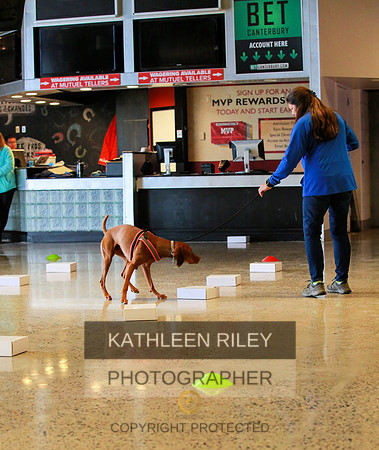 2022-KathleenRileyPhotography-7652