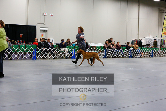 2022-KathleenRileyPhotography-1353